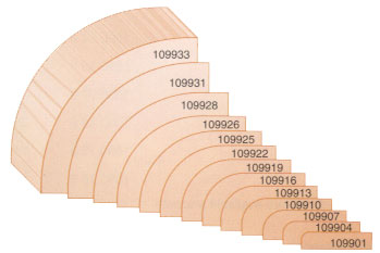 dim1099-2.jpg